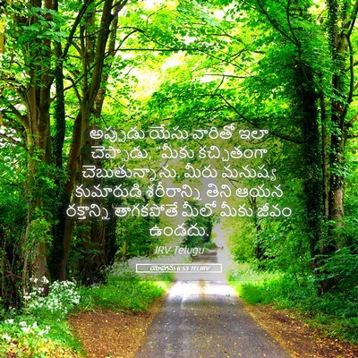 Picture 05 - యోహాను 6:53 TELIRV - అప్పుడు యేసు - Bible Verse Picture