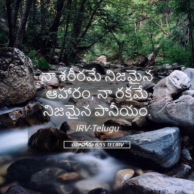 Picture 05 - యోహాను 6:55 TELIRV - నా శరీరమే నిజమైన - Bible Verse Picture