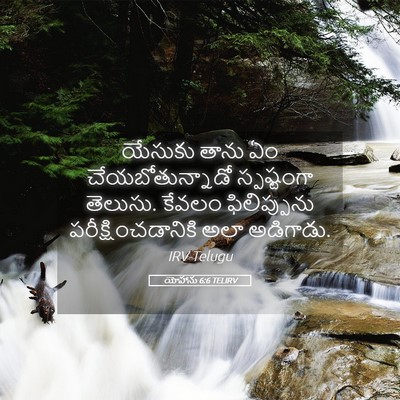 Picture 05 - యోహాను 6:6 TELIRV - యేసుకు తాను ఏం - Bible Verse Picture