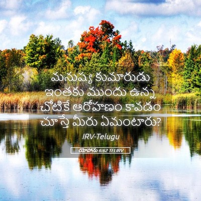Picture 05 - యోహాను 6:62 TELIRV - మనుష్య కుమారుడు - Bible Verse Picture