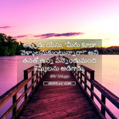 Picture 05 - యోహాను 6:67 TELIRV - అప్పుడు యేసు, - Bible Verse Picture