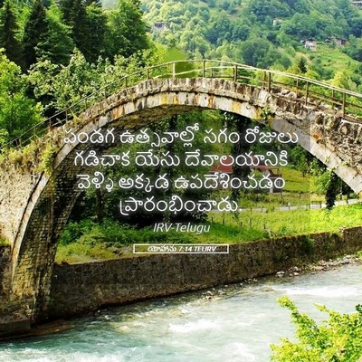 Picture 05 - యోహాను 7:14 TELIRV - పండగ ఉత్సవాల్లో - Bible Verse Picture