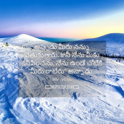 Picture 05 - యోహాను 7:34 TELIRV - అప్పుడు మీరు - Bible Verse Picture