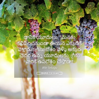 Picture 05 - యోహాను 7:35 TELIRV - దానికి యూదులు, - Bible Verse Picture