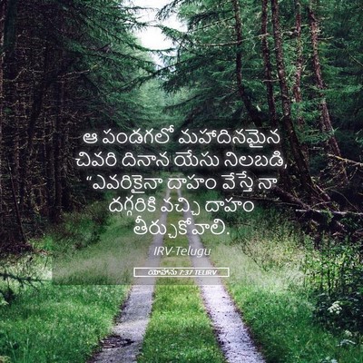 Picture 05 - యోహాను 7:37 TELIRV - ఆ పండగలో - Bible Verse Picture