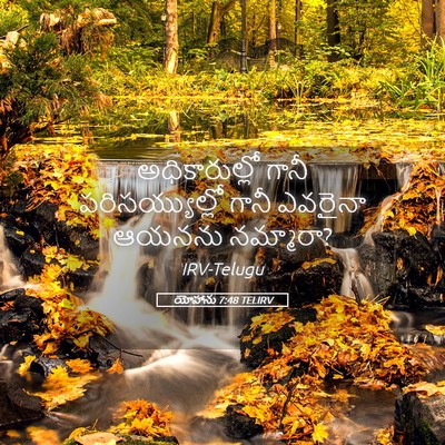 Picture 05 - యోహాను 7:48 TELIRV - అధికారుల్లో గానీ - Bible Verse Picture