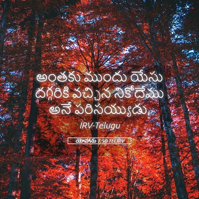 Picture 05 - యోహాను 7:50 TELIRV - అంతకు ముందు యేసు - Bible Verse Picture