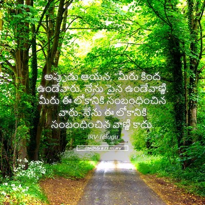 Picture 05 - యోహాను 8:23 TELIRV - అప్పుడు ఆయన, “మీరు - Bible Verse Picture