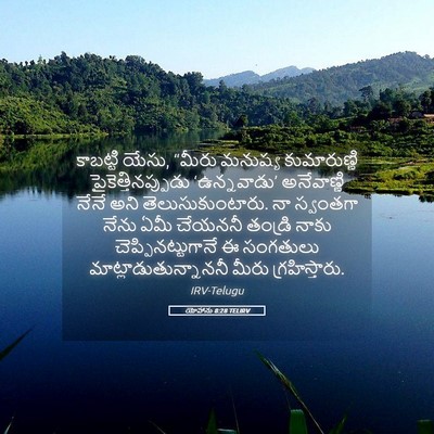 Picture 05 - యోహాను 8:28 TELIRV - కాబట్టి యేసు, - Bible Verse Picture
