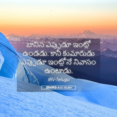 Picture 05 - యోహాను 8:35 TELIRV - బానిస ఎప్పుడూ - Bible Verse Picture
