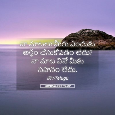 Picture 05 - యోహాను 8:43 TELIRV - నా మాటలు మీరు - Bible Verse Picture