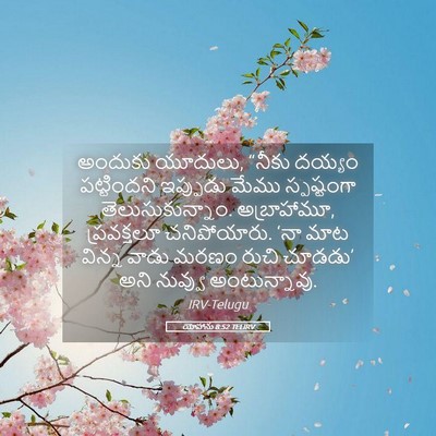 Picture 05 - యోహాను 8:52 TELIRV - అందుకు యూదులు, - Bible Verse Picture