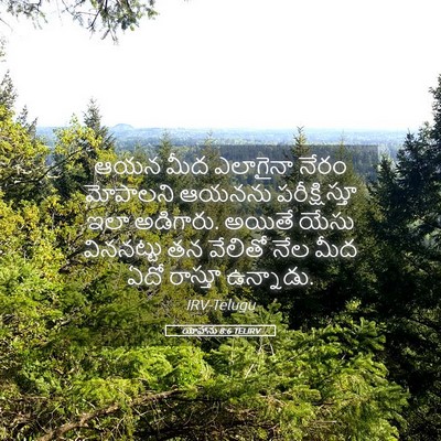 Picture 05 - యోహాను 8:6 TELIRV - ఆయన మీద ఎలాగైనా - Bible Verse Picture