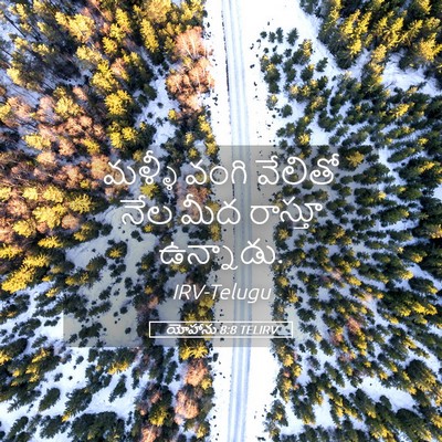 Picture 05 - యోహాను 8:8 TELIRV - మళ్ళీ వంగి వేలితో - Bible Verse Picture