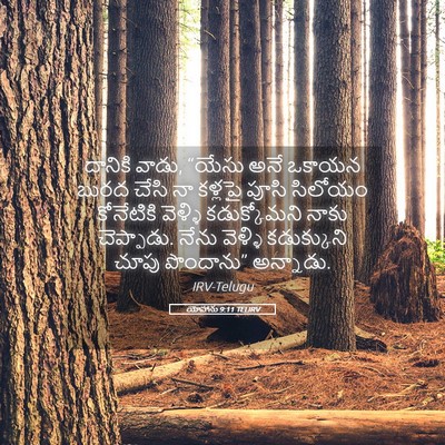 Picture 05 - యోహాను 9:11 TELIRV - దానికి వాడు, “యేసు - Bible Verse Picture