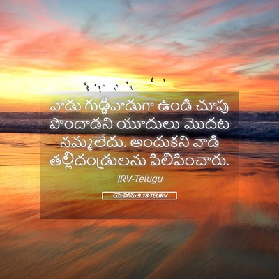 Picture 05 - యోహాను 9:18 TELIRV - వాడు గుడ్డివాడుగా - Bible Verse Picture