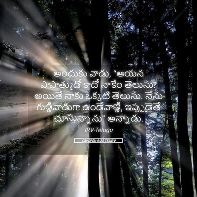 Picture 05 - యోహాను 9:25 TELIRV - అందుకు వాడు, “ఆయన - Bible Verse Picture