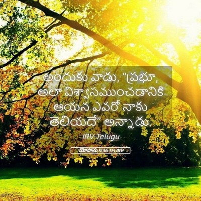 Picture 05 - యోహాను 9:36 TELIRV - అందుకు వాడు, - Bible Verse Picture