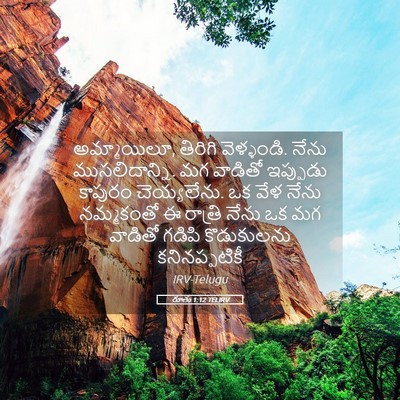 Picture 05 - రూతు 1:12 TELIRV - అమ్మాయిలూ, తిరిగి - Bible Verse Picture
