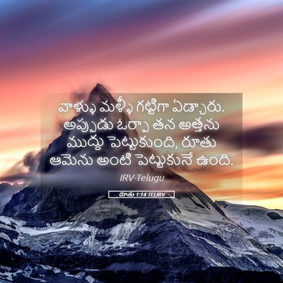 Picture 05 - రూతు 1:14 TELIRV - వాళ్ళు మళ్ళీ - Bible Verse Picture