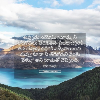 Picture 05 - రూతు 1:15 TELIRV - అప్పుడు నయోమి - Bible Verse Picture