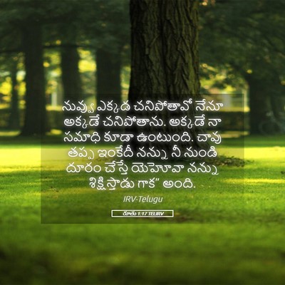 Picture 05 - రూతు 1:17 TELIRV - నువ్వు ఎక్కడ - Bible Verse Picture