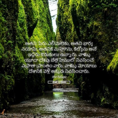 Picture 05 - రూతు 1:2 TELIRV - అతని పేరు - Bible Verse Picture