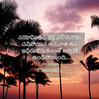 Picture 05 - రూతు 1:3 TELIRV - నయోమి తన భర్త - Bible Verse Picture