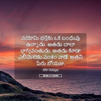 Picture 05 - రూతు 2:1 TELIRV - నయోమి భర్తకు ఒక - Bible Verse Picture