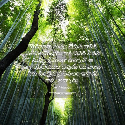 Picture 05 - రూతు 2:12 TELIRV - యెహోవా నువ్వు - Bible Verse Picture