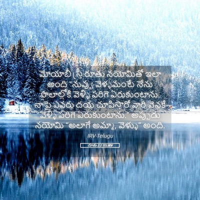 Picture 05 - రూతు 2:2 TELIRV - మోయాబీ స్త్రీ - Bible Verse Picture