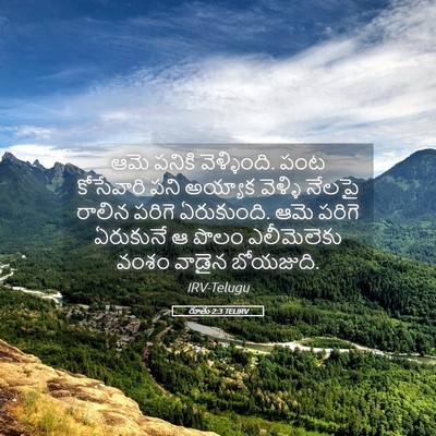 Picture 05 - రూతు 2:3 TELIRV - ఆమె పనికి - Bible Verse Picture