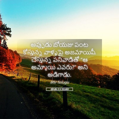 Picture 05 - రూతు 2:5 TELIRV - అప్పుడు బోయజు పంట - Bible Verse Picture