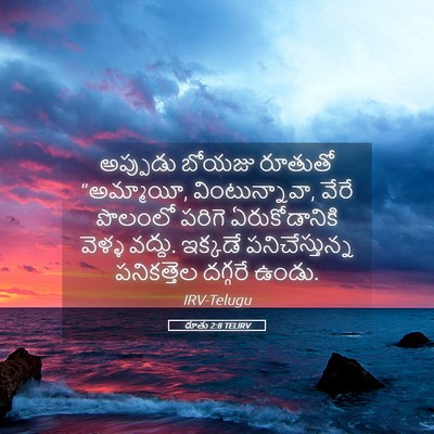 Picture 05 - రూతు 2:8 TELIRV - అప్పుడు బోయజు - Bible Verse Picture