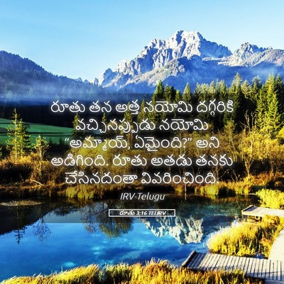 Picture 05 - రూతు 3:16 TELIRV - రూతు తన అత్త నయోమి - Bible Verse Picture