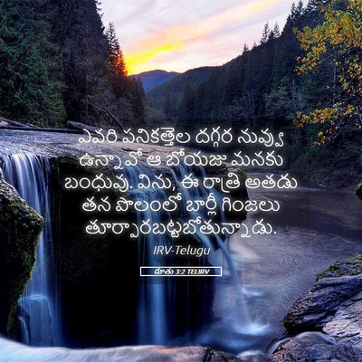 Picture 05 - రూతు 3:2 TELIRV - ఎవరి పనికత్తెల - Bible Verse Picture