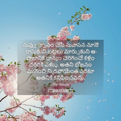 Picture 05 - రూతు 3:3 TELIRV - నువ్వు స్నానం - Bible Verse Picture