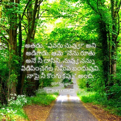 Picture 05 - రూతు 3:9 TELIRV - అతడు, “ఎవరు - Bible Verse Picture
