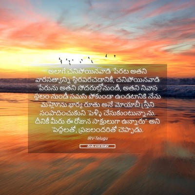 Picture 05 - రూతు 4:10 TELIRV - అలాగే - Bible Verse Picture