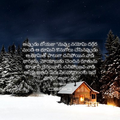 Picture 05 - రూతు 4:5 TELIRV - అప్పుడు బోయజు - Bible Verse Picture