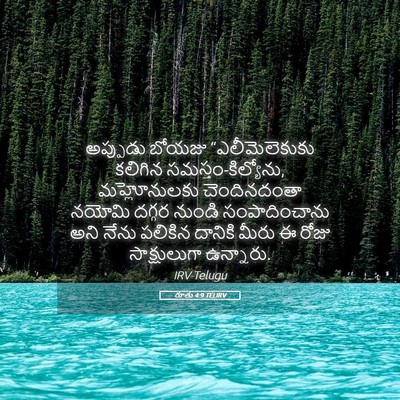 Picture 05 - రూతు 4:9 TELIRV - అప్పుడు బోయజు - Bible Verse Picture
