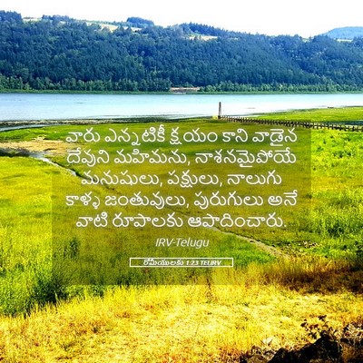 Picture 05 - రోమీయులకు 1:23 TELIRV - వారు ఎన్నటికీ - Bible Verse Picture