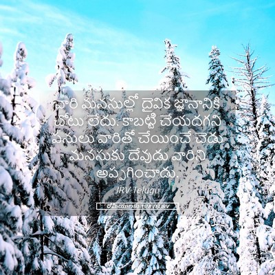 Picture 05 - రోమీయులకు 1:28 TELIRV - వారి మనసుల్లో - Bible Verse Picture
