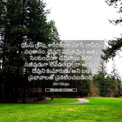 Picture 05 - రోమీయులకు 1:5 TELIRV - యేసు క్రీస్తు, - Bible Verse Picture