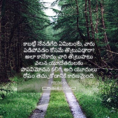 Picture 05 - రోమీయులకు 11:11 TELIRV - కాబట్టి నేనడిగేది - Bible Verse Picture