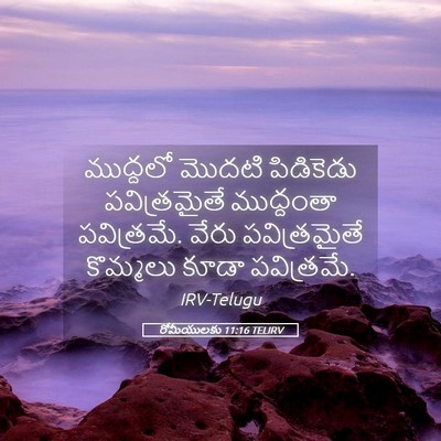 Picture 05 - రోమీయులకు 11:16 TELIRV - ముద్దలో మొదటి - Bible Verse Picture