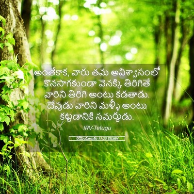 Picture 05 - రోమీయులకు 11:23 TELIRV - అంతేకాక, వారు తమ - Bible Verse Picture