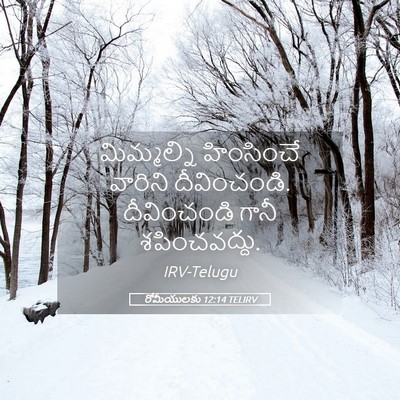 Picture 05 - రోమీయులకు 12:14 TELIRV - మిమ్మల్ని - Bible Verse Picture