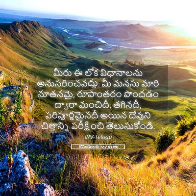 Picture 05 - రోమీయులకు 12:2 TELIRV - మీరు ఈ లోక - Bible Verse Picture