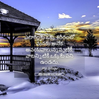Picture 05 - రోమీయులకు 12:4 TELIRV - ఎలాగంటే ఒక్క - Bible Verse Picture